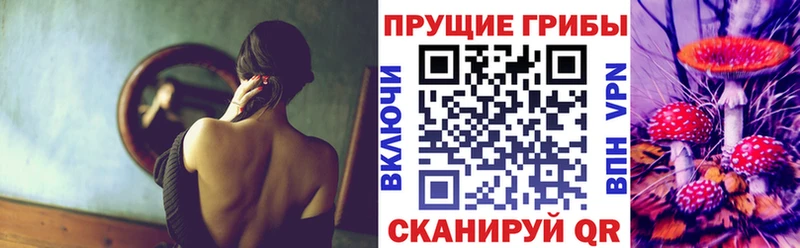 Псилоцибиновые грибы GOLDEN TEACHER  закладки  Элиста 